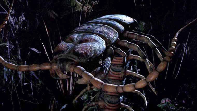 Les insectes géants sont un grand classique du sort invocation de monstres.