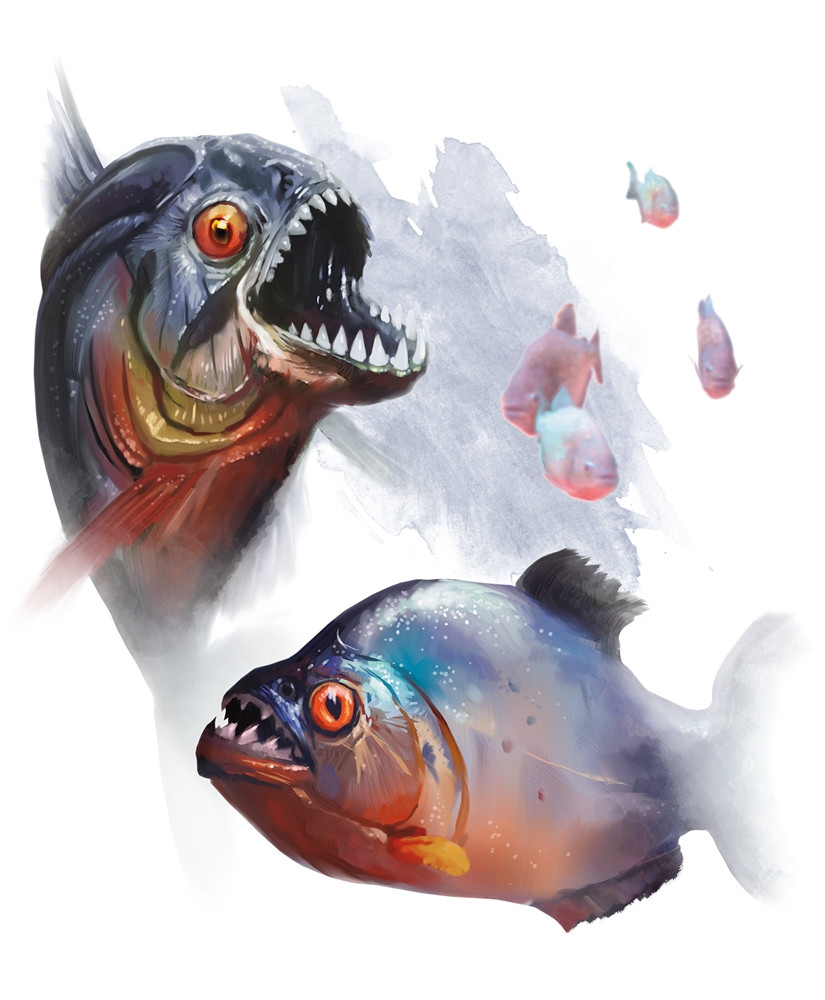 Piranha