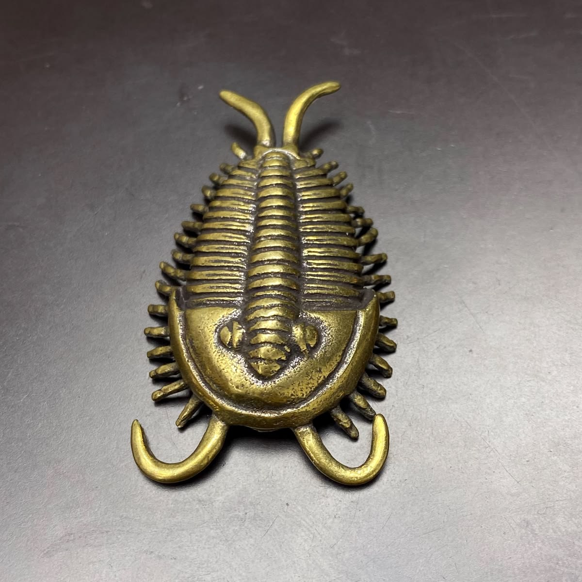 Art trilobite