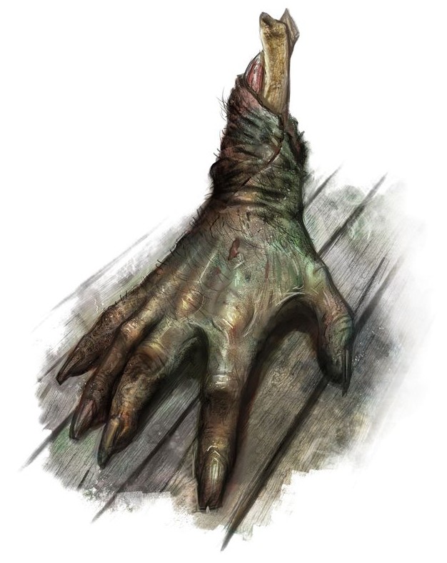 Illustration d’une griffe rampante