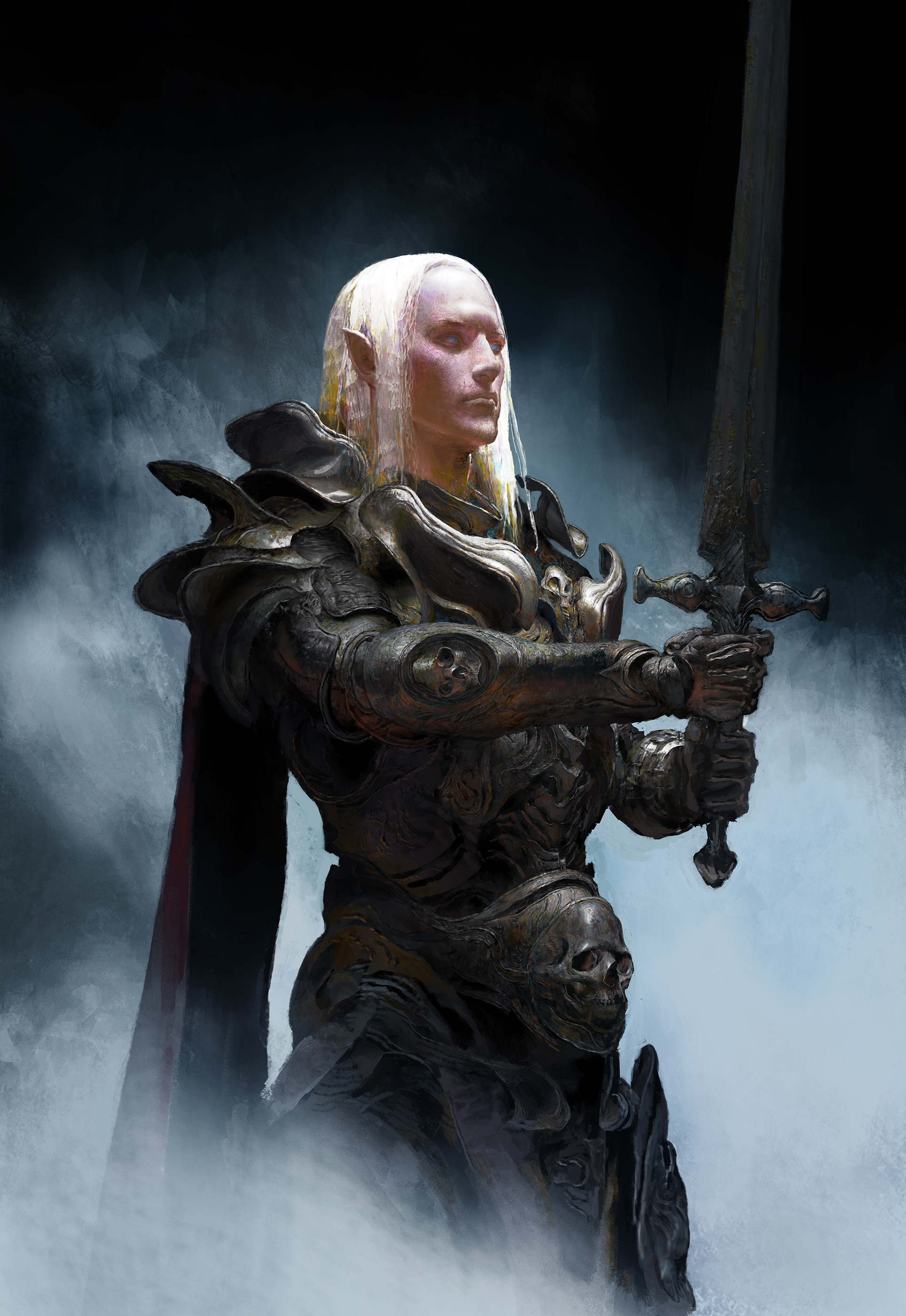 Paladin elfe Paladin elfe